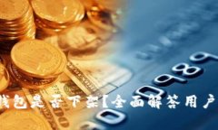 t p钱包是否下架？全面解